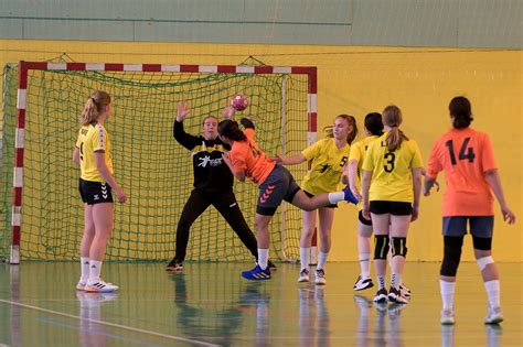 equipe de france de handball feminin